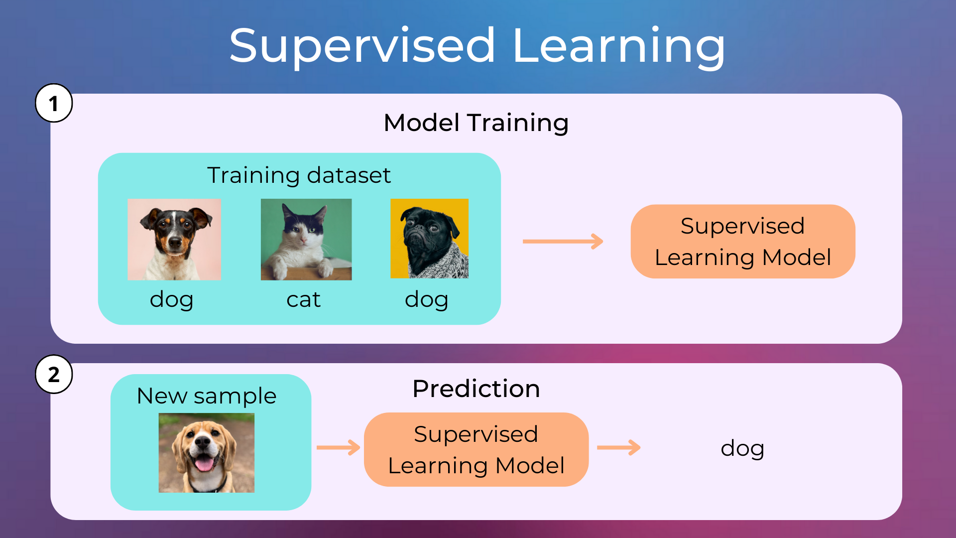 _images/supervised_learning.png
